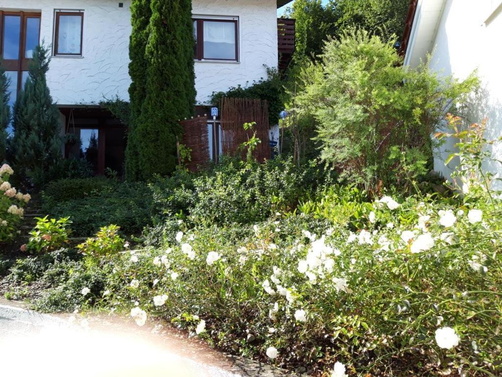 Ferienwohnung Rosa Muller Wangen im Allgäu Buitenkant foto