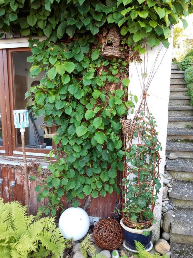 Ferienwohnung Rosa Muller Wangen im Allgäu Buitenkant foto